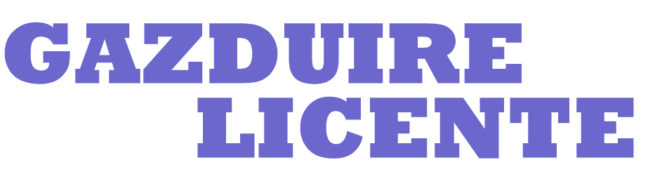 SEO - Gazduire-licente